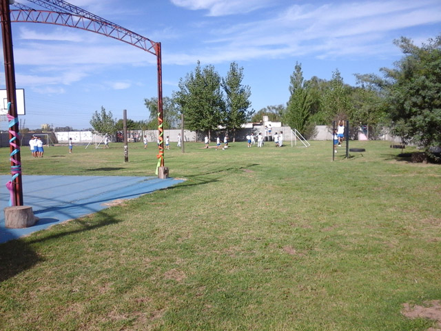 Espacios verdes para recreación y deporte.