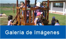 Galeria de Imágenes